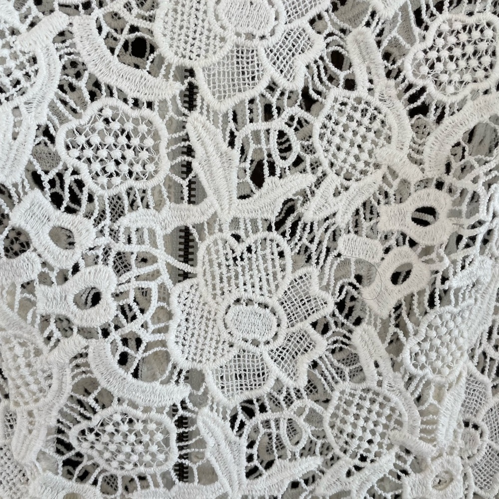 Cache Lace Top - image 3